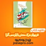 دانلود کتاب غزنویان ترک منش یا پارسی گرا سید نور تهماسبی PDF 