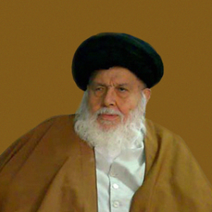 معرفی سید عباس حسینی کاشانی